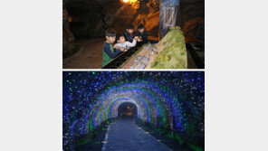 [수도권]동굴속 테마파크, 광명으로 오세요