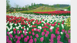 [Let's Go 남도]“날마다 아름다워지는 거대한 정원에서 몸·마음 힐링하세요”