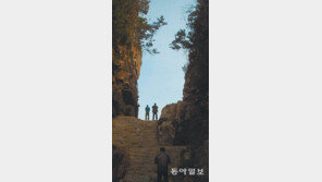 [Let's Go 남도]잔잔한 바다·수줍은 풍광… 가막만은 해양스포츠 천국