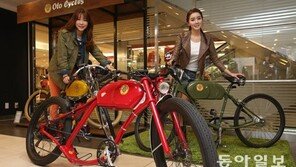 700만원대 명품 전기 자전거