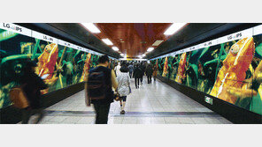 정글에 온 듯 실감 화면