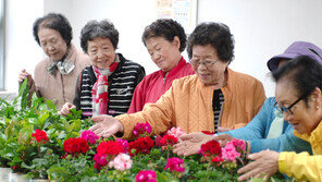 [수도권]나홀로 할머니 웃게 만든 ‘반려식물’