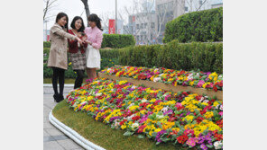 [대구/경북]“도심 생태공원 구경하세요”