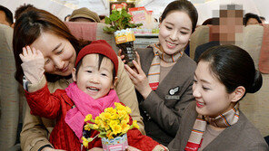 아시아나 식목일 국내선 어린이 승객 꽃씨 배포