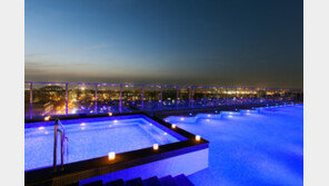 제주의 봄과 밤을 만끽하다