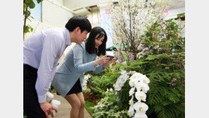 AK플라자 ‘봄의 정원’ 운영