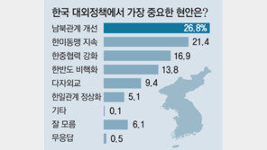 국민도 “安美經中”