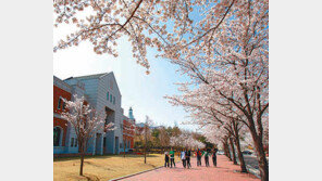 [대구/경북]계명대 행소박물관 관람시간 연장