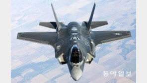 록히드 마틴 “한국·미국 정부에 사드 정보 제공하고 있다”