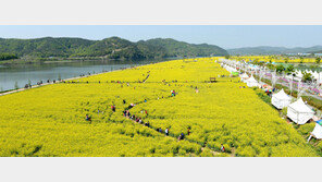 [2015 대한민국 창조경제 대상]대기업-유망기업 유치로 2만여 일자리 창출