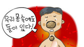 담석증 환자 급증… 기름진 음식 섭취 후 더부룩한 증상 지속된다면 ‘의심’