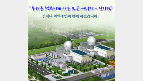 신한울 2호기 원자로 설치, UAE에 수출한 기종과 동일한 신형가압경수로