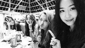 씨스타 꽃이 핀다, 다솜 SNS 통해 “중독성 대박”