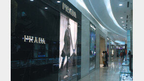 [광주/전남]광주 유통업계, 3일부터 대규모 명품대전