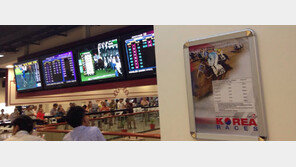 경마 한류, 2020년까지 해외매출 1조 쏜다