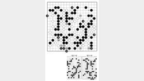 [바둑]제58기 국수전… 완착 142