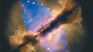 별의 가스분출 변화과정 관측됐다