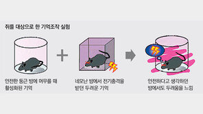 기억 심었다 지웠다… 영화가 현실로