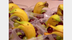 밤잠 부르는 음식, 체리부터 캐모마일까지… ‘의외의 음식들’