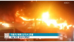 부산 자동차매매단지서 큰 불, 차량 570여대 불타 수십억 재산피해…인근 주민 ‘대피’