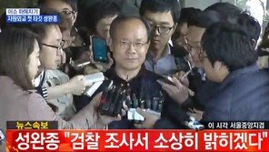 성완종 회장 검찰 출석…거액의 비자금 조성과 분식회계 혐의