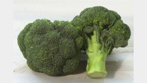 척추 건강 지켜주는 식품, OOO은 무릎이나 허리 통틍 완화에 도움