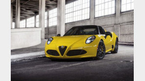 알파 로메오, X3·Q5·마칸과 경쟁할 강력한 신차 준비 중