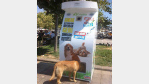 터키의 착한 자판기, ‘쓰레기 재활용+유기동물 보호’ 악취와 질병 감염 우려도...