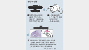 심봉사, 눈 대신 뇌로 길 찾아간다