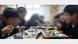 이성애 경남도의원, 무상급식 문자 논란에 사과 “마음이 많이 상했을 것 같다”