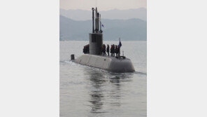 One Shot, One Hit, One Sink! “제2의 천안함은 없다” 