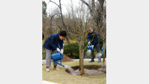朴대통령, 식목일 靑에 무궁화 심어 