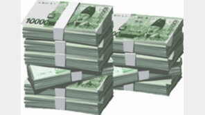 영업이익으로 이자 못갚아…넷중 하나는 헛장사?