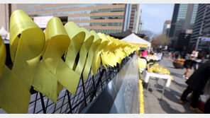 세월호 인양 여론조사, 유기준 vs 김무성 엇갈린 의견…여론조사 필요할까?