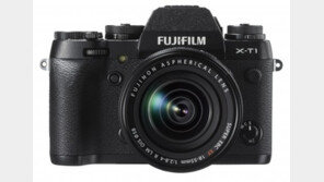 ‘나들이의 계절 봄’ 미러리스 카메라 불꽃 경쟁