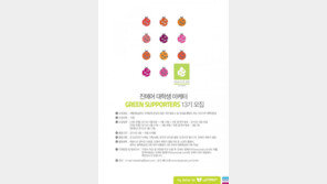 진에어 그린 서포터즈 13기 모집