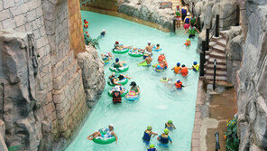 봄, 벚꽃 말고 ‘캐리비안 베이’