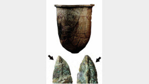 김해 회현리 패총 주인은 日거상 유력