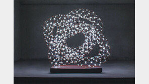 8년을 한결같이 ‘나선’ 한 우물