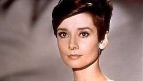 오드리 헵번 아들, ‘세월호 기억의 숲’ 팽목항 인근에 조성 ‘눈길’