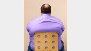 한국 성인 남성 과체중 비율 36%, 日-中-北에 비해 ‘쑥↑’…이것 때문이다? 