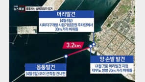 시화호 김하일 긴급체포, 입국서류에는 피해 여성의 남편으로 기재