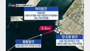 시화호 토막시신, 김하일 긴급체포… 아내, 돈 재촉해 홧김에