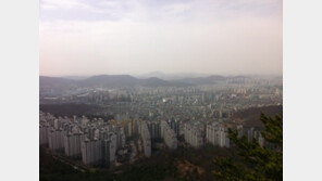 서울시 개별공시지가 예정가격, 10~30일 온라인 열람