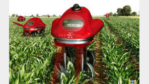 포장 뜯지 않고 김치 숙성상태 판별… 농부대신 김매는 ‘제초로봇’도 개발