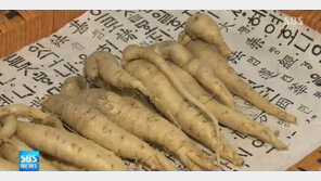 더덕의 효능, 혈당 조절 돕는 ‘이눌린’ 성분 풍부