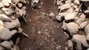 남녀 교합 자세로? 20대男 순장된 신라 女귀족 무덤 최초 발견