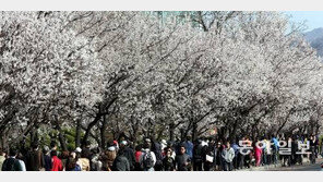 [날씨] 10일 아침 내륙 안개 ‘운전 주의’…주말 대체로 ‘맑음’