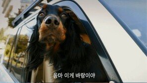 컬럼비아, 영상 바이럴 마케팅 캠페인 시작