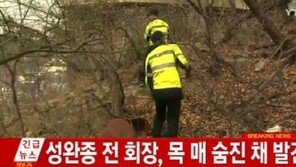 성완전 전 회장 사망… 나무에 목 매 숨진 채 발견 “형제봉 매표소서 300m 떨어진 지점”